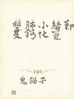 双肺小结节样影及钙化灶