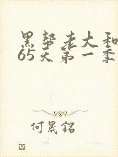 黑帮老大和我365天第一季封面