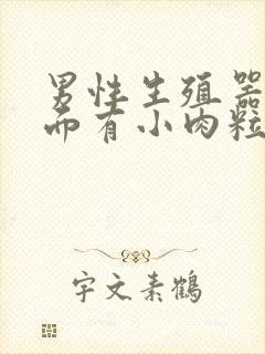 男性生殖器口里面有小肉粒怎么回事