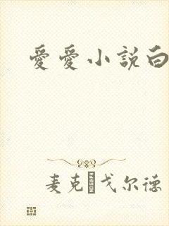 爱爱小说白洁