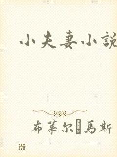 小夫妻小说封面