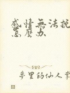 感情无法挽回了怎么办