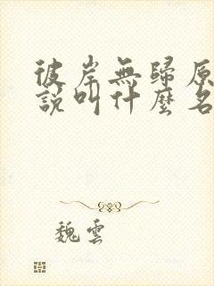 彼岸无归原著小说叫什么名字封面