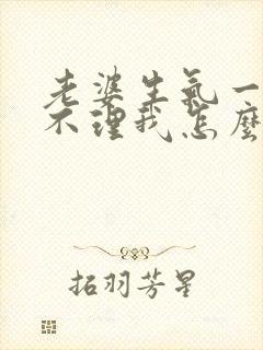 老婆生气一个月不理我怎么办