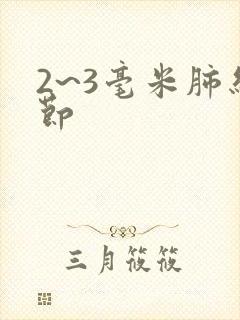 2~3毫米肺结节封面