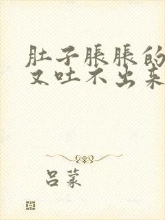 肚子胀胀的想吐又吐不出来怎么回事