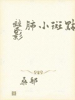 双肺小斑点结节影封面