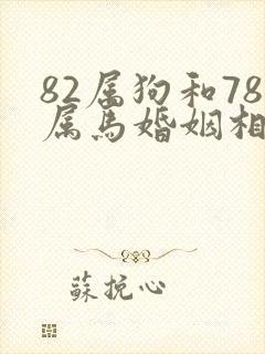 82属狗和78属马婚姻相配吗