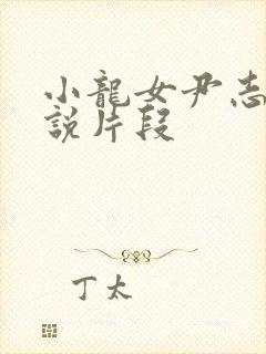 小龙女尹志平小说片段