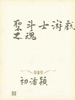 圣斗士游戏斗士之魂