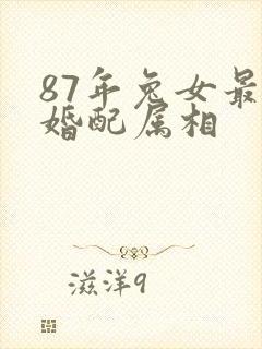 87年兔女最佳婚配属相