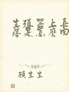 生殖器上长硬疙瘩是怎么回事封面