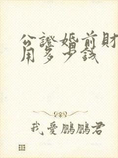 公证婚前财产费用多少钱