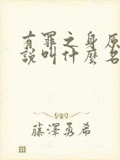 有罪之身原著小说叫什么名字