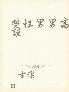 双性男男高h小说