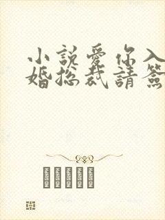 小说爱你入骨隐婚总裁请签字