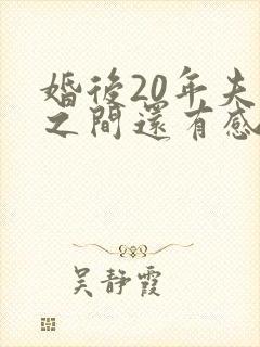 婚后20年夫妻之间还有感情吗封面