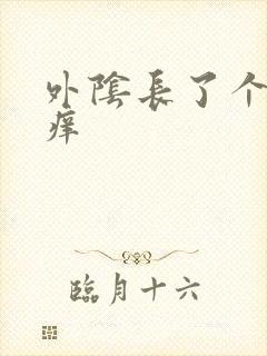 外阴长了个痘疼痒