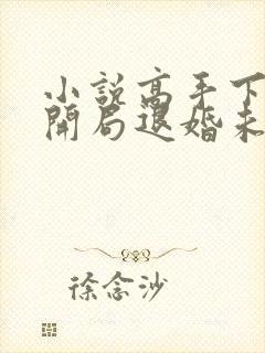 小说高手下山:开局退婚未婚妻全文阅读封面