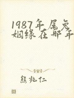 1987年属兔姻缘在哪年最旺盛