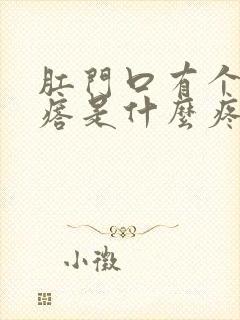 肛门口有个肉疙瘩是什么疼