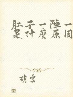 肚子一阵一阵痛是什么原因封面