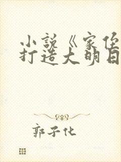 小说《家侄崇祯打造大明日不落》