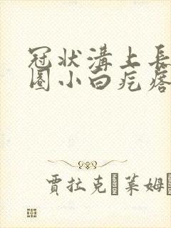 冠状沟上长了一圈小白疙瘩封面