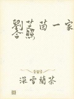 刘芝茵一家三口合照封面