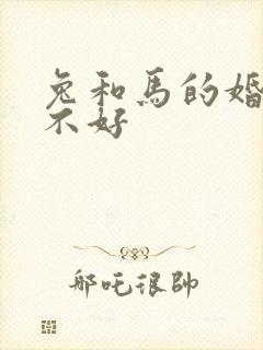 兔和马的婚配好不好