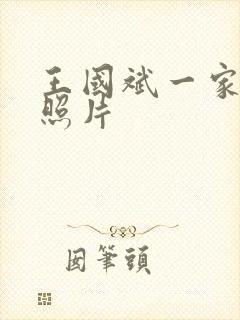 王国斌一家三口照片