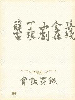 薛丁山全集40电视剧在线播放