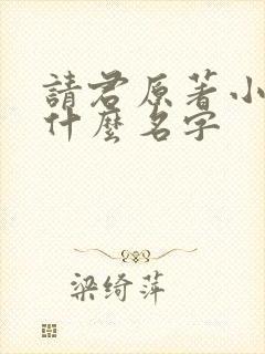 请君原著小说叫什么名字