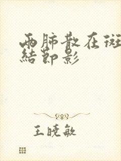 两肺散在斑点小结节影封面