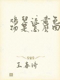 鸡儿流黄色分泌物是怎么回事