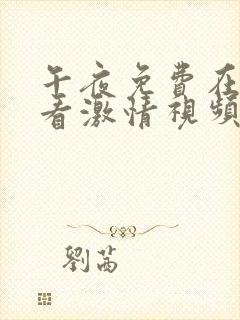 午夜免费在线观看激情视频