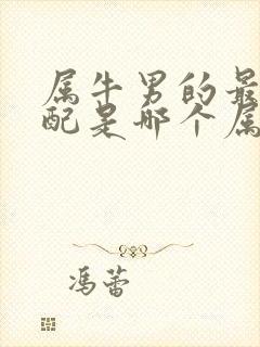 属牛男的最佳婚配是哪个属相封面