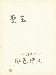 圣王封面