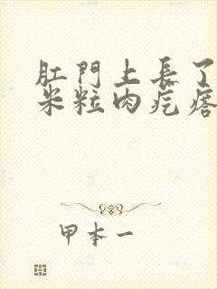 肛门上长了个大米粒肉疙瘩