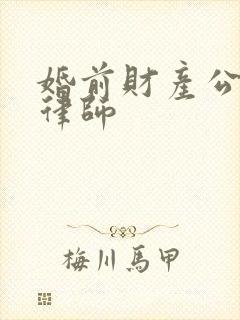 婚前财产公证 律师