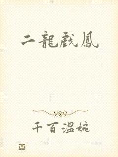 二龙戏凤封面