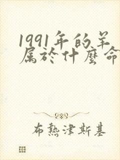 1991年的羊属于什么命