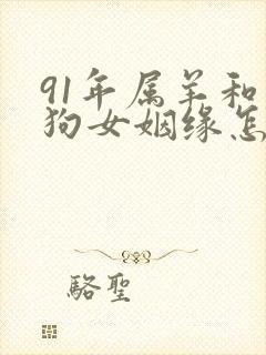 91年属羊和属狗女姻缘怎样