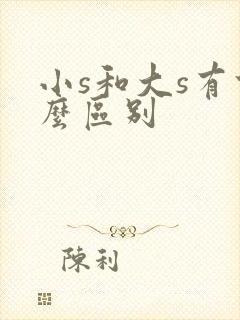 小s和大s有什么区别