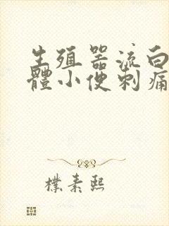 生殖器流白色液体小便刺痛封面