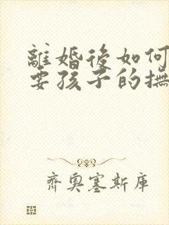 离婚后如何起诉要孩子的抚养权