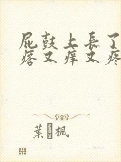 屁鼓上长了小疙瘩又痒又疼