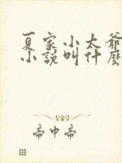 夏家小太爷原著小说叫什么名字