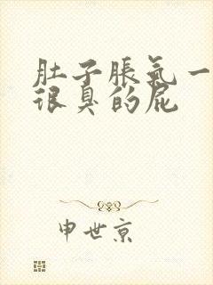 肚子胀气一直放很臭的屁