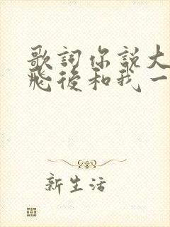 歌词你说大雁南飞后和我一起走